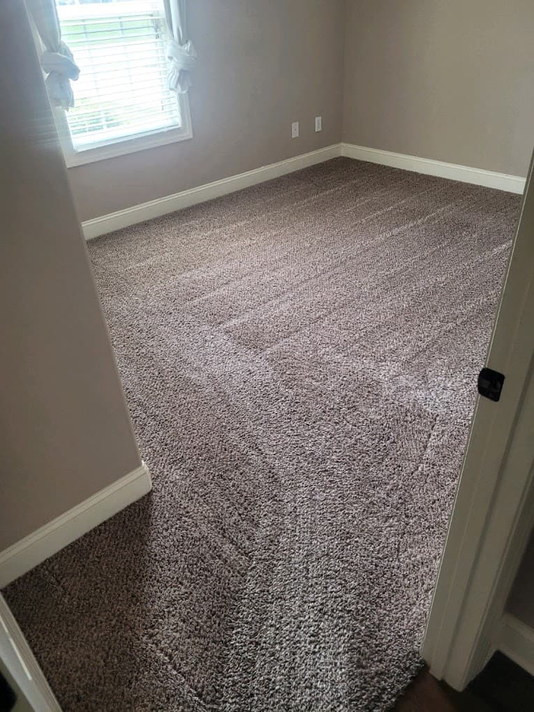 Carpet Cleaning